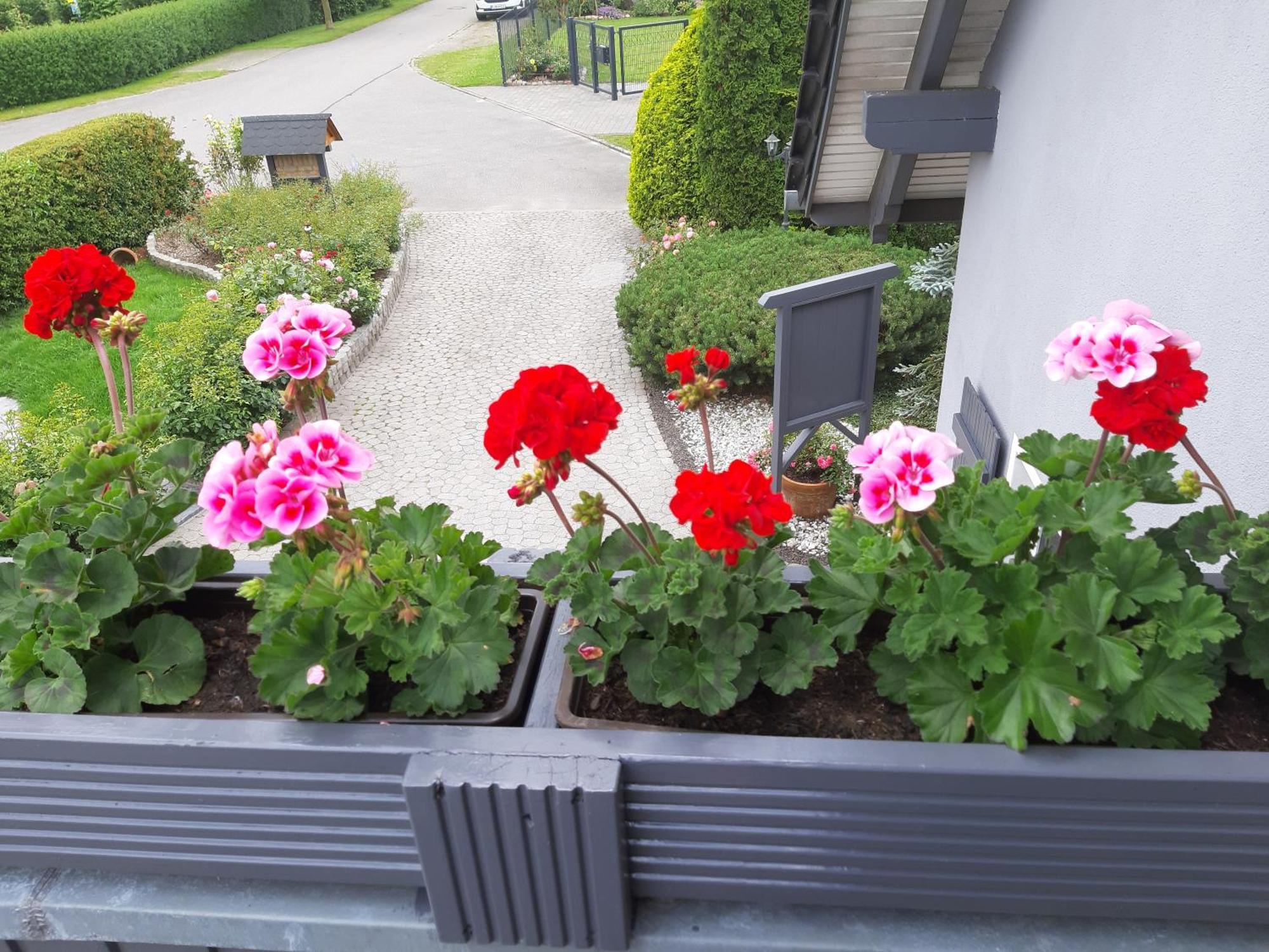 Auf Dem Hufen Apartment Ribnitz-Damgarten Exterior foto